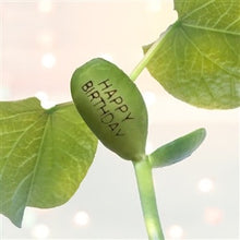 Load image into Gallery viewer, You grow lovelier every year birthday card - with magic growing bean
